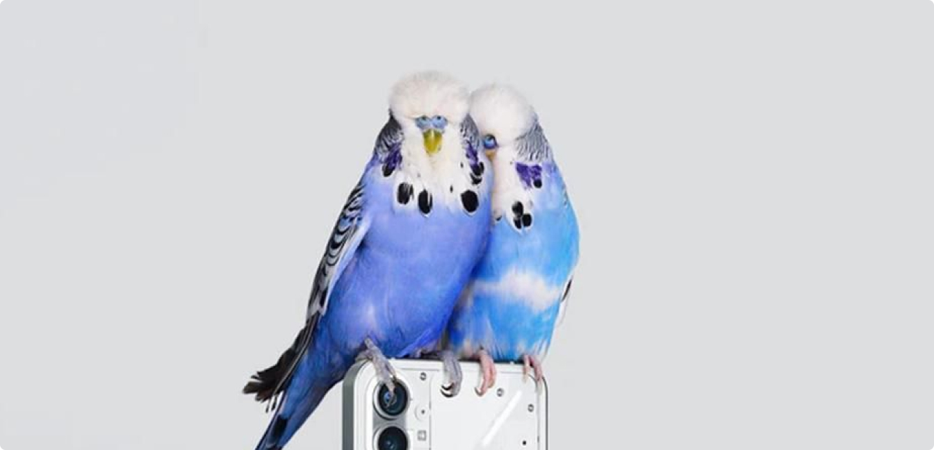 headphones_and_airbubs